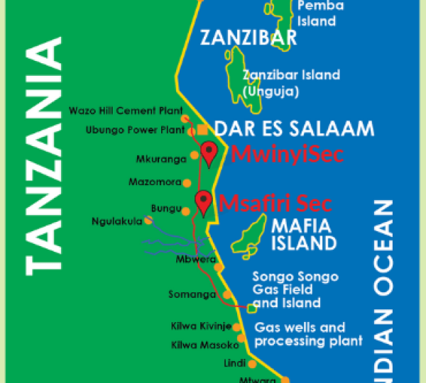 Songas Funded Schools Along Their Gas Pipeline.